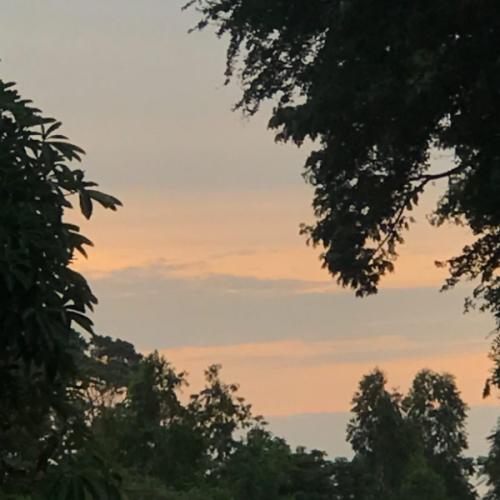 สมาชิกหมายเลข 6764708