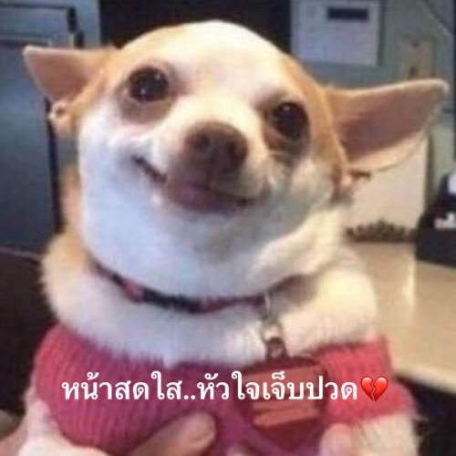 สมาชิกหมายเลข 8327226