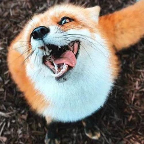 สมาชิกหมายเลข 5122989