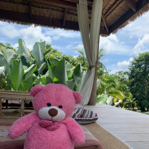 สมาชิกหมายเลข 1065501