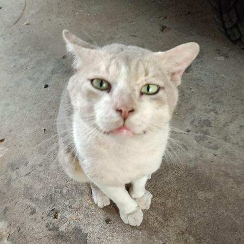 สมาชิกหมายเลข 5516620