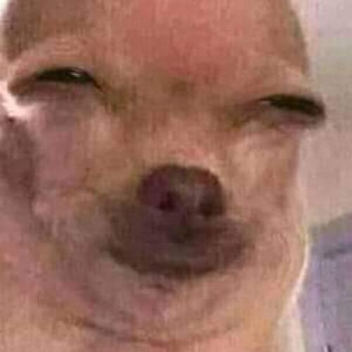 สมาชิกหมายเลข 3277533