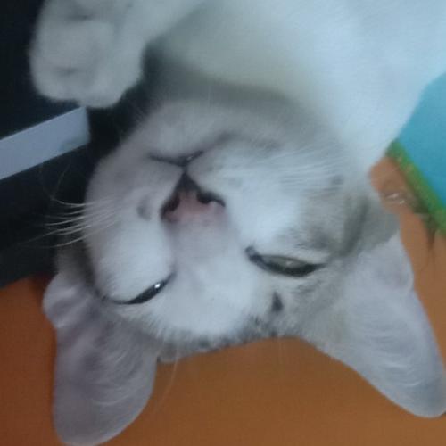 สมาชิกหมายเลข 6683366