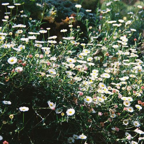 สมาชิกหมายเลข 5419731