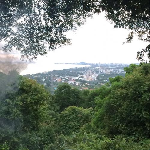 สมาชิกหมายเลข 3756534