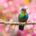 สมาชิกหมายเลข 4390217