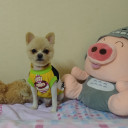 สมาชิกหมายเลข 3204627