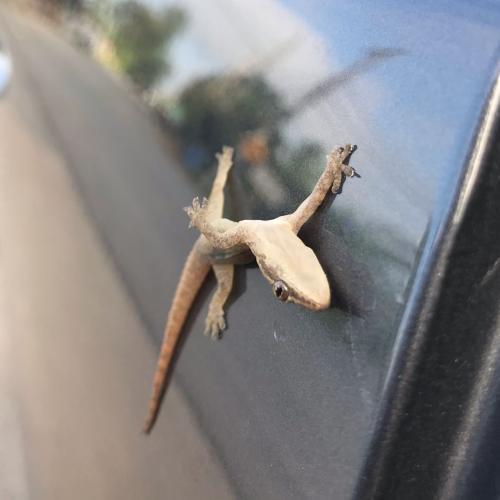 สมาชิกหมายเลข 4459759