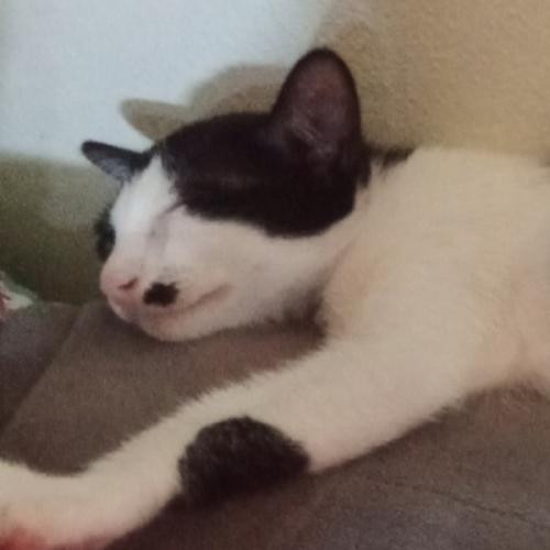 สมาชิกหมายเลข 5880111