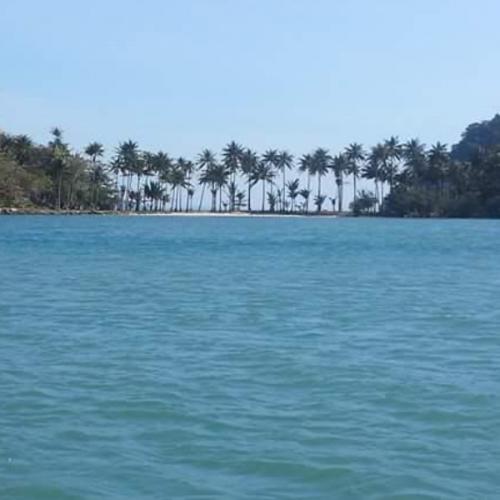 สมาชิกหมายเลข 6065864