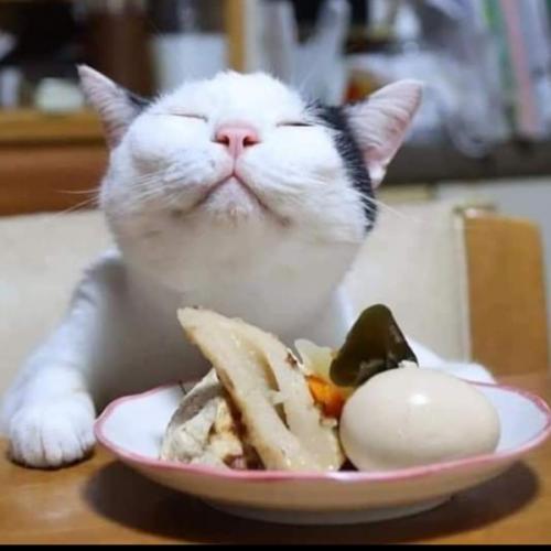 สมาชิกหมายเลข 1089540