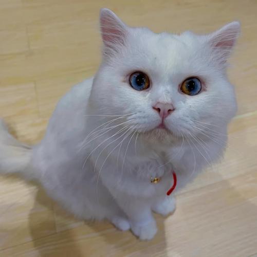 สมาชิกหมายเลข 6683587