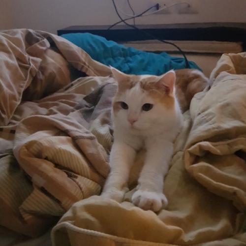 สมาชิกหมายเลข 2546469