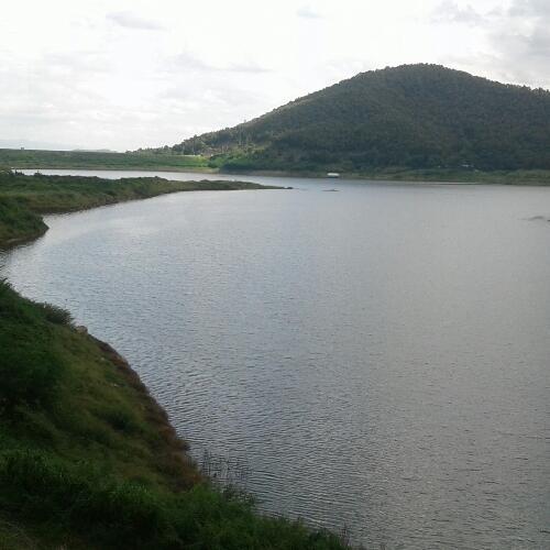 สมาชิกหมายเลข 3065241