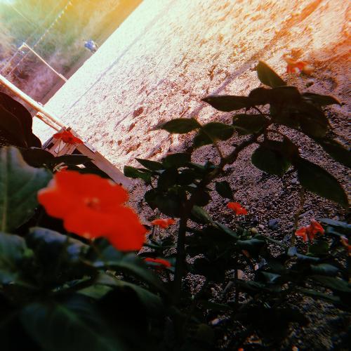 สมาชิกหมายเลข 5123988