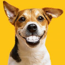 สมาชิกหมายเลข 3903349