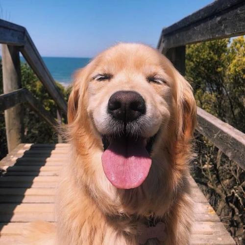 สมาชิกหมายเลข 5517479