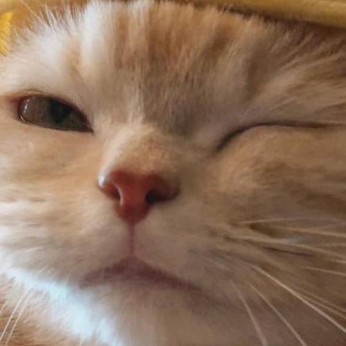 สมาชิกหมายเลข 5358042