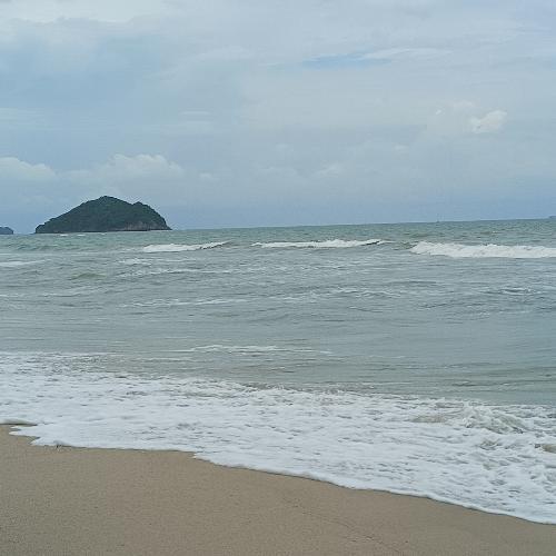 สมาชิกหมายเลข 7435496