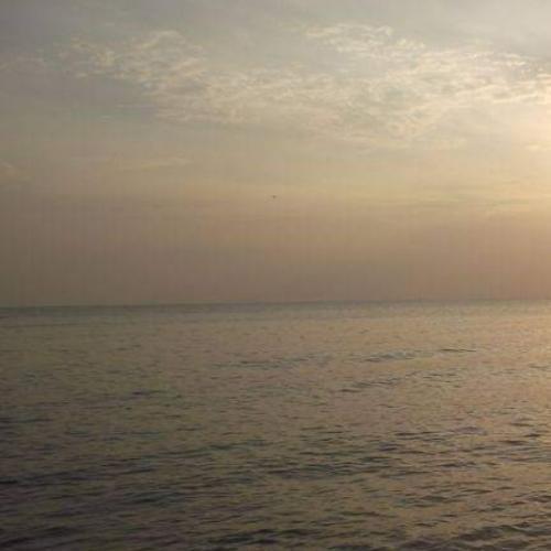 สมาชิกหมายเลข 8309645