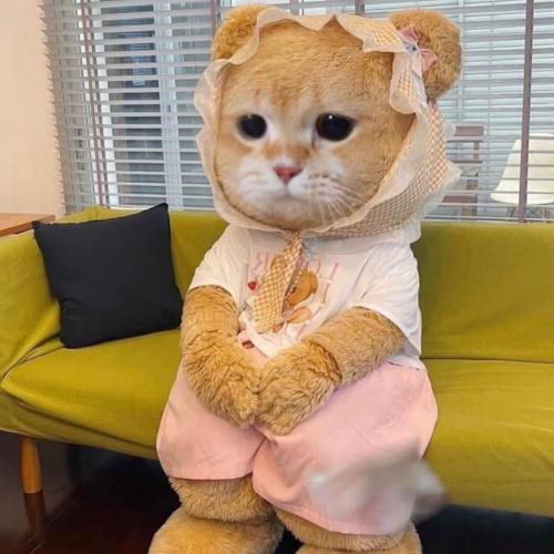 สมาชิกหมายเลข 992534