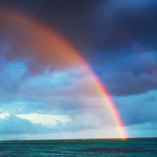 สมาชิกหมายเลข 4099533