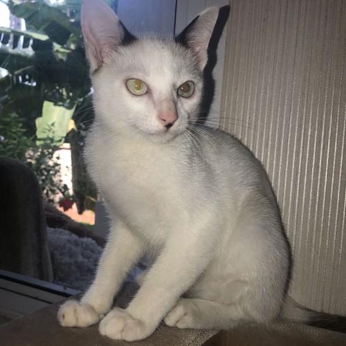 สมาชิกหมายเลข 5124267