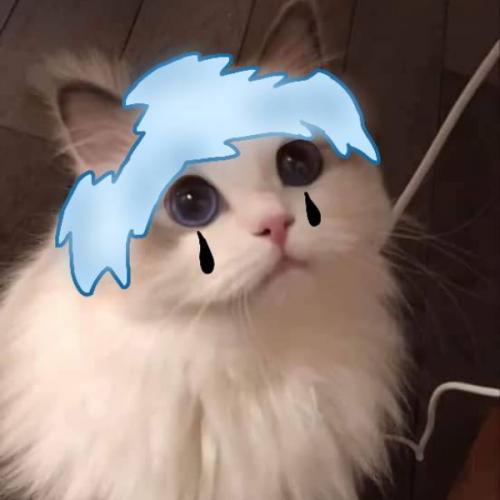 สมาชิกหมายเลข 6066994