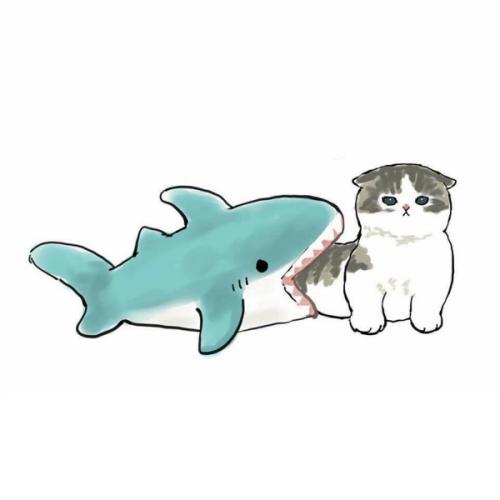 สมาชิกหมายเลข 6067011