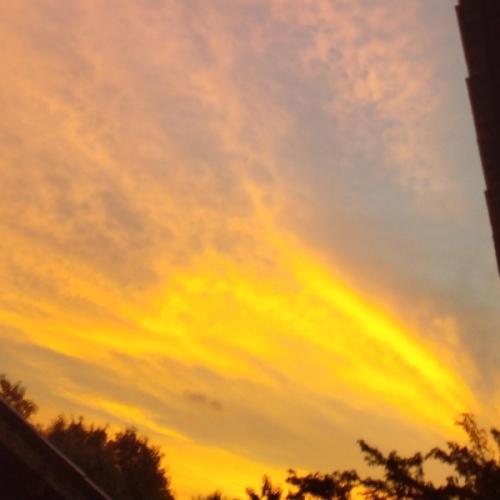 สมาชิกหมายเลข 6330040