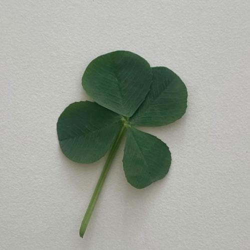 สมาชิกหมายเลข 5448296