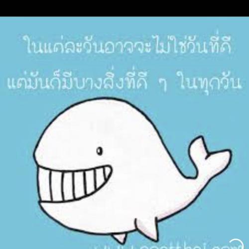สมาชิกหมายเลข 3918899