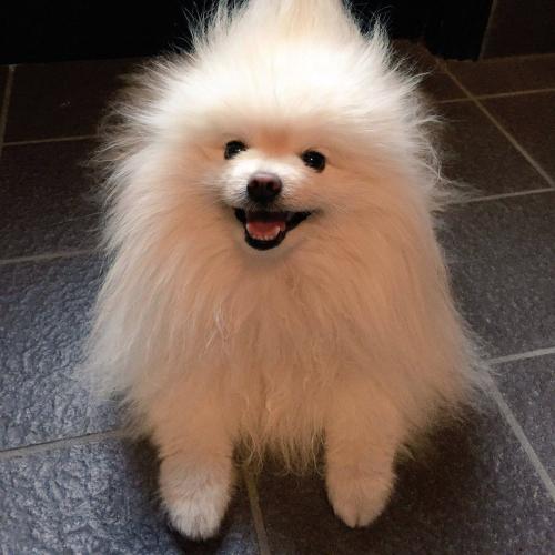 สมาชิกหมายเลข 3918957