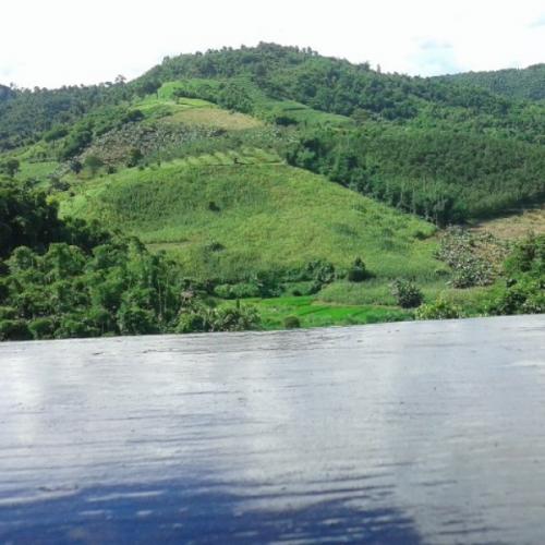 สมาชิกหมายเลข 4747567