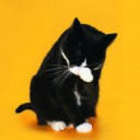 สมาชิกหมายเลข 5124641