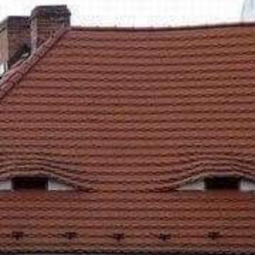 สมาชิกหมายเลข 5518382