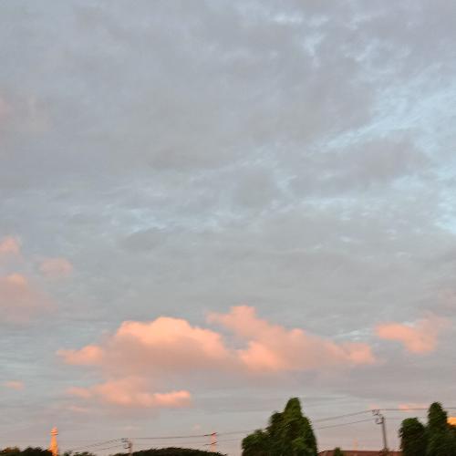 สมาชิกหมายเลข 5257061