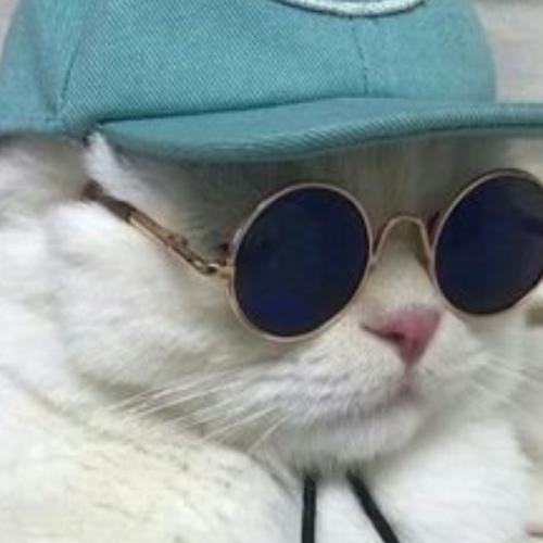 สมาชิกหมายเลข 5432839