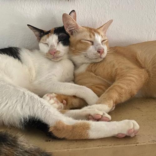 สมาชิกหมายเลข 5649887