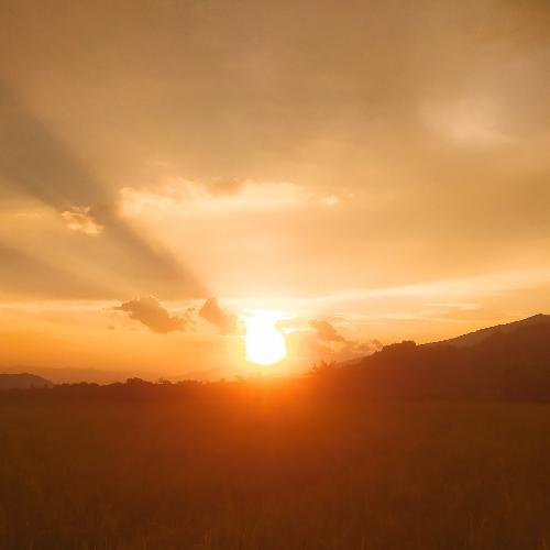 สมาชิกหมายเลข 6597131