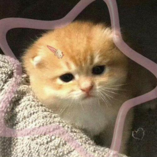 สมาชิกหมายเลข 8331693