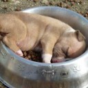 สมาชิกหมายเลข 1642131