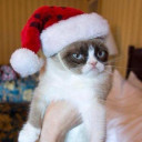 สมาชิกหมายเลข 2546231