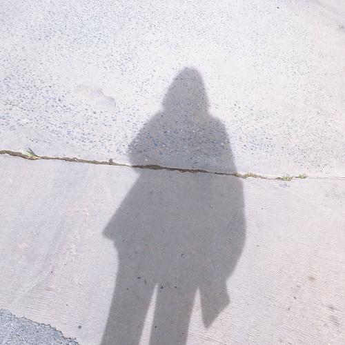 สมาชิกหมายเลข 4717295