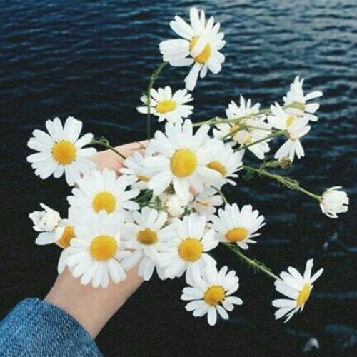 สมาชิกหมายเลข 4742346