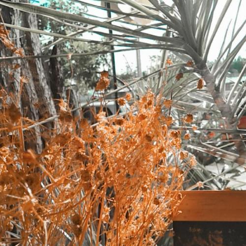 สมาชิกหมายเลข 5381587