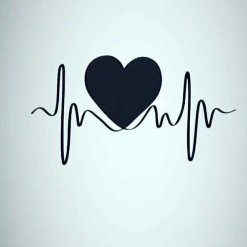 สมาชิกหมายเลข 4566969