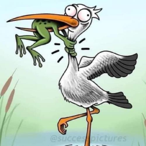 ลุงหมีตีแบต
