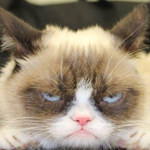 สมาชิกหมายเลข 2537132