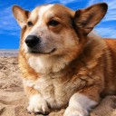 สมาชิกหมายเลข 2797983